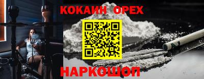 ГАЛЛЮЦИНОГЕННЫЕ ГРИБЫ Вязники